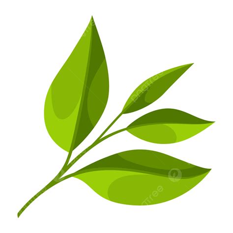 Leaf Png Vectors & Illustrations for Free Download.